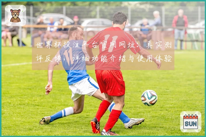 世界杯投注平台官网网址:真实测评反馈,详细功能介绍与使用体验指南