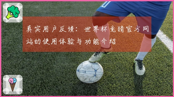 真实用户反馈:世界杯竞猜官方网站的使用体验与功能介绍