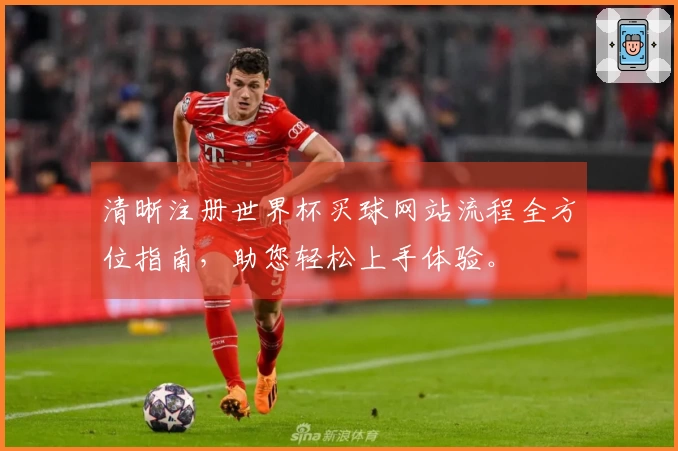 清晰注册世界杯买球网站流程全方位指南，助您轻松上手体验。