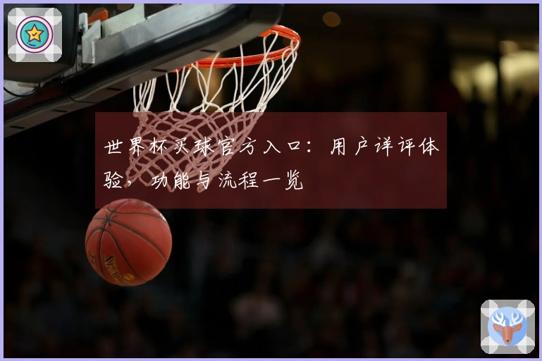 世界杯买球官方入口：用户详评体验，功能与流程一览
