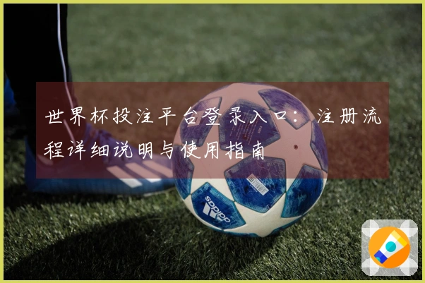 世界杯投注平台登录入口:注册流程详细说明与使用指南