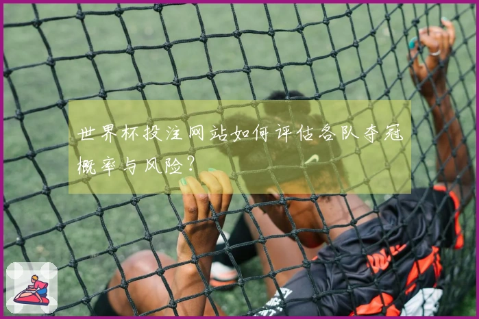 世界杯投注网站如何评估各队夺冠概率与风险？