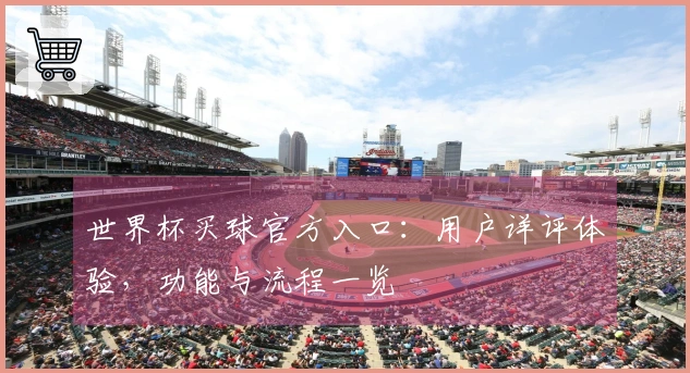 世界杯买球官方入口：用户详评体验，功能与流程一览