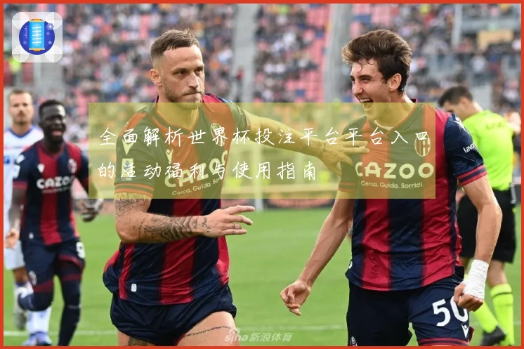 全面解析世界杯投注平台平台入口的活动福利与使用指南