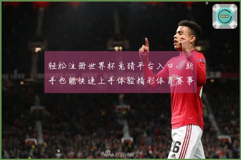 轻松注册世界杯竞猜平台入口,新手也能快速上手体验精彩体育赛事