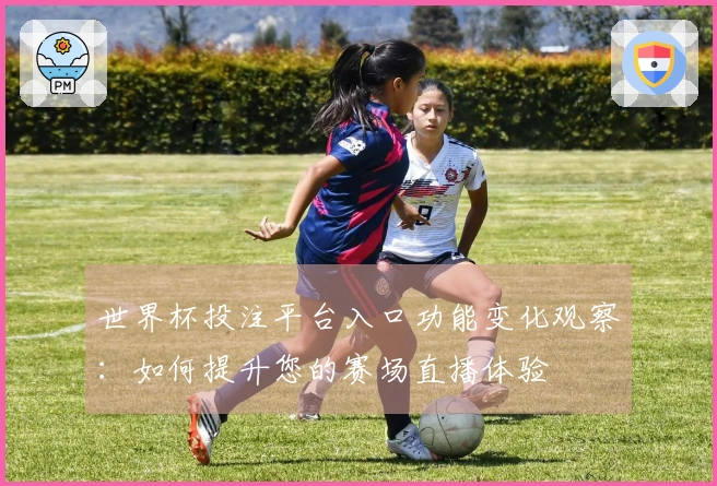 世界杯投注平台入口功能变化观察：如何提升您的赛场直播体验