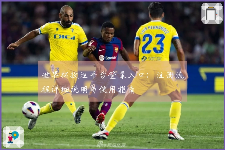 世界杯投注平台登录入口：注册流程详细说明与使用指南
